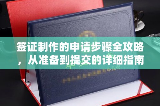 平南签证制作的申请步骤全攻略，从准备到提交的详细指南